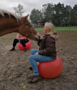 Hosté ubytování Zee-van-Tijd
