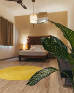 a living room with a couch and a plant at Hotel Sur Bacalar in Bacalar