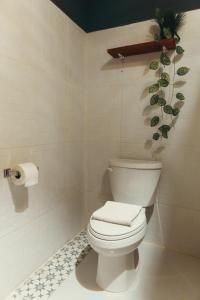 a bathroom with a toilet and a plant on the wall at Hotel Sur Bacalar in Bacalar