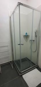 una doccia con cabina in vetro in bagno di Orchidea Apartman a Gödöllő