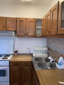 a kitchen with wooden cabinets and a sink at Villa Rose in Sarajevo +21 photos