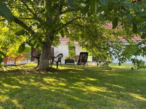 Zahrada ubytování Haus mit Garten Familie Pabst