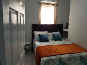 a bedroom with a bed with blue pillows and a window at Royal View Apartment Plus in Belize City