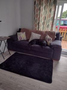 a dog laying on a couch in a living room at D&D Holiday Chalet in Bridlington