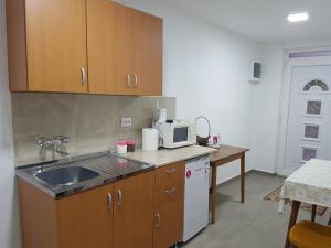 Il comprend une petite cuisine équipée d'un évier et d'un four micro-ondes. dans l'établissement M Apartments, Bogorodica, Gevgelija, à Gevgelija