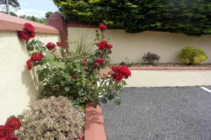 Giardino di Seacourt Accommodation Tramore - Adult Only