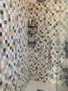 ヴァダにあるPodere La Paceのカラフルなタイル張りのバスルーム(シャワー付)