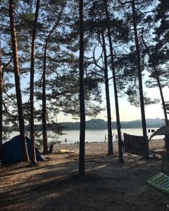 a campsite at the beach with people in the water at Chatka Maya Máchovo jezero in Doksy