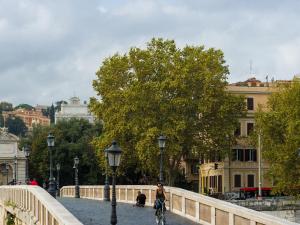 Mynd úr myndasafni af Tree Charme Trilussa í Róm