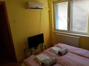 Un dormitorio con dos camas y un televisor de pantalla plana. en Lale's Room, en Palić