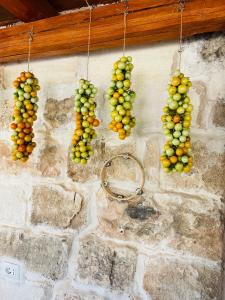 Um monte de uvas penduradas numa parede de pedra. em Masseria Casina Bellanova em Porto Cesareo