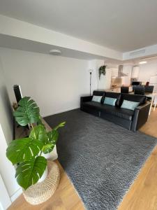 uma sala de estar com um sofá preto e uma planta em Canet De Berenguer, Playa Apto con 2 habitaciones em Valência