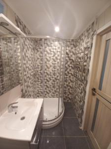 a bathroom with a shower and a white sink at Kandavas Street City Center Apartment in Daugavpils