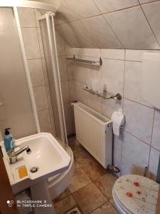 een badkamer met een wit toilet en een wastafel bij Garsoniera Mikha in Sinaia