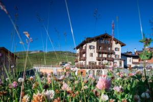 a field of flowers in front of a building at Hotel Sciatori in Livigno