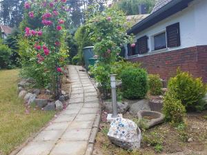 einen Garten mit Rosen und einen Gehweg vor einem Haus in der Unterkunft gemütliches Ferienhaus in Seenähe in Sewekow