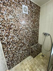 コンスタンツァにあるHoliday Apartmentのバスルーム(茶色のタイル張りのシャワー付)