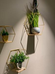 three shelves with potted plants on a wall at Hotel Saalbacher Hof in Saalbach-Hinterglemm