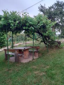 una mesa de picnic bajo un árbol en un campo en Zelena Oaza, en Visoko