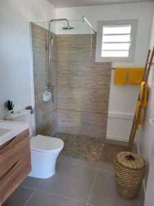 a bathroom with a shower and a toilet and a sink at les tiny houses d'akapa in Sainte-Luce