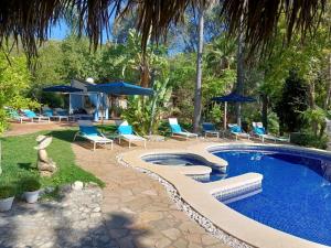 uma piscina com cadeiras azuis e guarda-sóis em La Fuente Oase B&B em Coín
