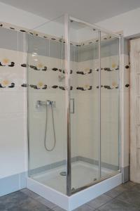 a bathroom with a shower with a glass enclosure at Leśne Piętro in Sędziszowa +23 photos