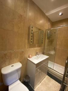 a bathroom with a toilet and a sink and a shower at Queens Ground in Sheffield