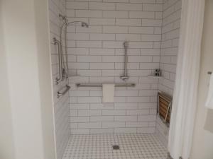 a bathroom with a shower with white tiles at Alpine Inn in Pagosa Springs +33 photos
