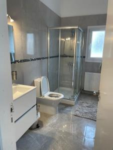 a bathroom with a shower and a toilet and a sink at Villa Ambios in Peyia