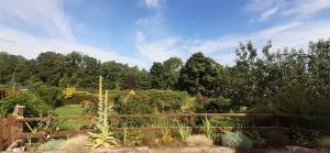 a garden with a wooden fence and many plants at Meadowsweet @ Laneside in Whitby +13 photos