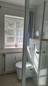 a bathroom with a toilet and a window at Wohnung Ankerplatz in Wrixum
