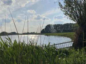 Blick auf einen See mit Gras und einem Zaun in der Unterkunft Ferien am Wasser in Babberich