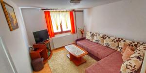 a living room with a couch and a television at Apartment Relja in Zlatibor