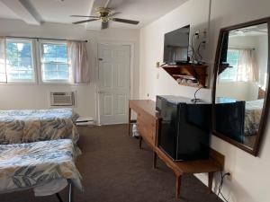TV a/nebo společenská místnost v ubytování Norfolk Motel