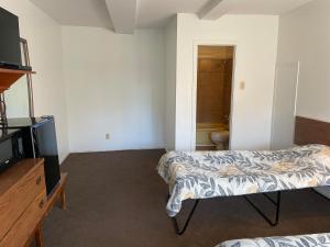 Postel nebo postele na pokoji v ubytování Norfolk Motel