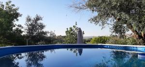 a blue swimming pool with trees in the background at Casa das 3 Palmeiras in Arraiolos