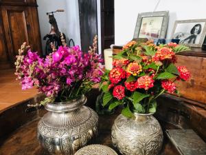 due vasi pieni di fiori su un tavolo di Casa Antigua - Terraza con Vistas al Mar a Medina Sidonia