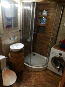 y baño con ducha, lavabo y lavadora. en Pod Milanem, en Przemyśl