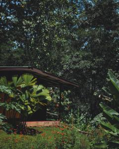 Сад в Gran Gavilán del Sarapiquí Lodge