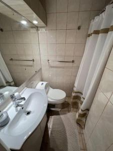 a bathroom with a white toilet and a sink at Hermoso Departamento, En la Mejor Ubicación in Viña del Mar