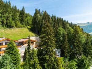 a village in the mountains with trees at Chalet Georg in Zellberg