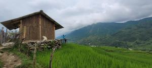 Gallery image of Organic Farm Homestay in Sa Pa +35 photos
