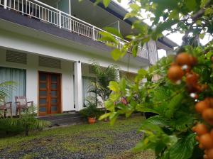 Zahrada ubytování Riverbench Homestay Munnar, Anaviratty