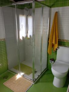 a bathroom with a shower and a toilet at VILLA LAURA in Salceda