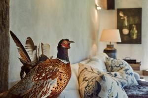 Φωτογραφία από το άλμπουμ του Kanuka Terrace - Luxury Strawbale House σε Καϊκούρα