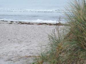 una playa de arena con hierba y el océano en Flying Dutchman - a28400 en Schönberger Strand