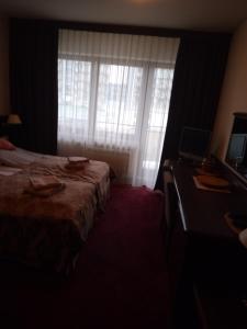 コウォブジェクにあるarka spaのベッドルーム1室(ベッド1台、デスク、窓付)