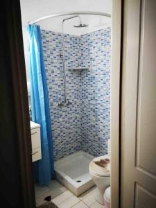 a bathroom with a toilet and a shower with a blue shower curtain at Grande Grotta Studios - Sleeps 8 - Free Parking in Masouri