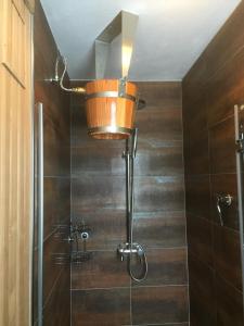 a bathroom with a shower with a bucket on the ceiling at Obora 824 in Nová Bystřice