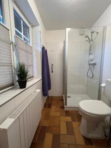ザンクト・ペーター・オルディングにあるFerienwohnung Nis Randersのバスルーム(トイレ、シャワー付)